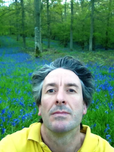 With Bluebells in the Spring